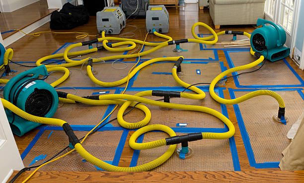 Professional Sewage Cleanup technician working in Bellevue, WA